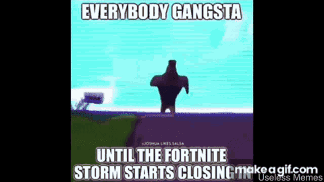 everybody gangsta until the fortnite storm starts closing on useless memes