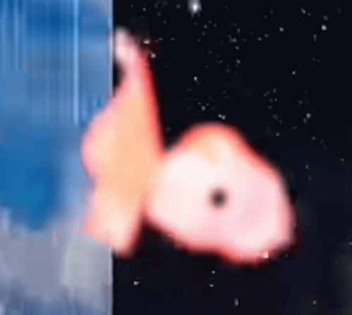 Fishy GIF - Fishy GIFs