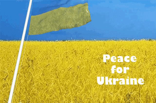 a yellow field with the words peace for ukraine