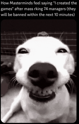 a black and white photo of a smiling dog with the caption " how masterminds feel saying "
