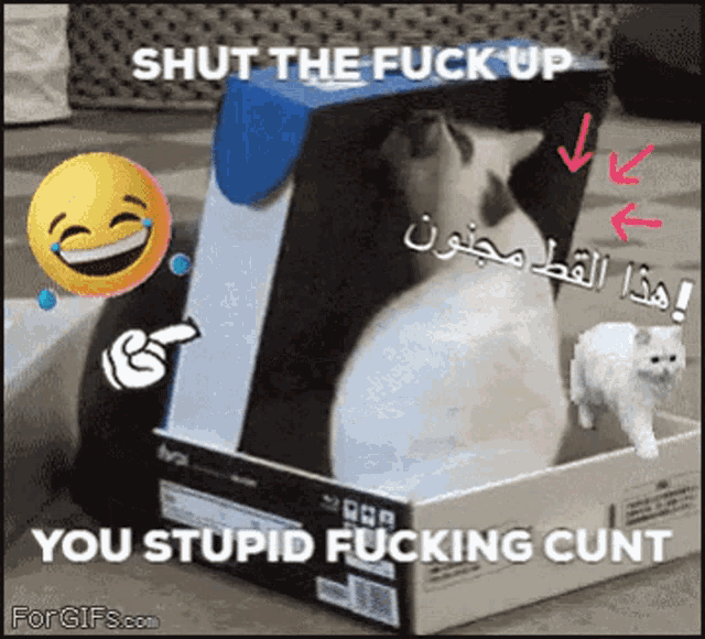 a cat in a box with the words shut the fuck up you stupid fucking cunt