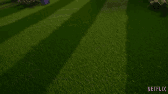 sonic the hedgehog laying on the grass with netflix written on the bottom