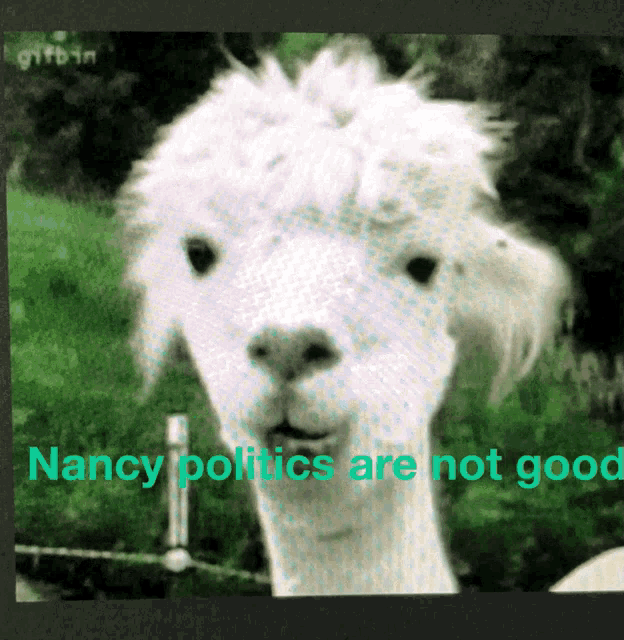Nancy Pelosi Must GIF - Nancy Pelosi Must Go GIFs