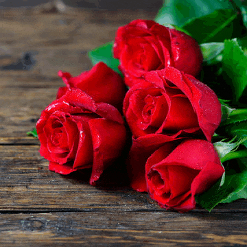 a bunch of red roses with water drops on them