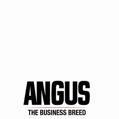 Angus Tjaa GIF - Angus Tjaa GIFs