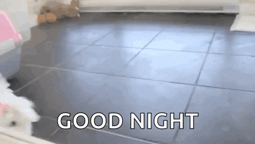 a white dog is standing on a tiled floor and says good night .