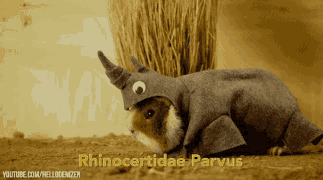 a guinea pig dressed as a rhinoceros is crawling