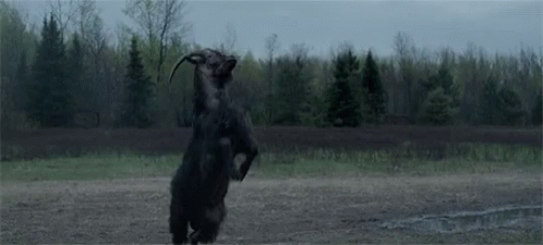 The Witch Goat GIF - The Witch Goat Fight GIFs