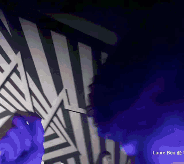 a purple background with the name laure bea