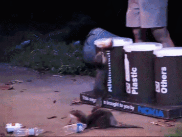 Otter Can'T Recycle Can GIF - Otter Recycle Trash GIFs