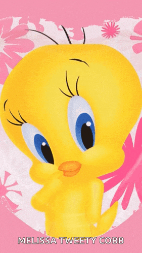 a picture of tweety with the name melissa tweety cobb on it