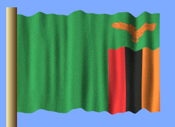 a green red and black flag with an eagle on the top