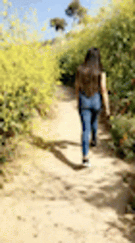 Alone Social Distancing GIF - Alone Social Distancing Trecking GIFs
