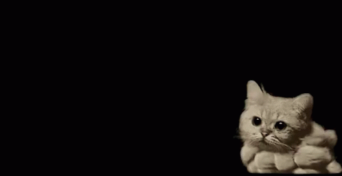 Kitty Smoke GIF - Kitty Smoke Cat GIFs