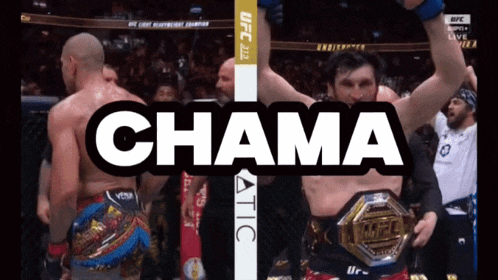 a ufc fight is being shown on a tv screen