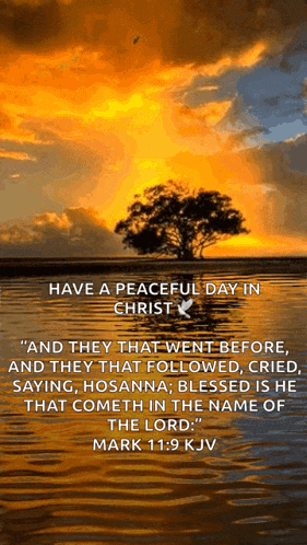 a sunset over a body of water with a bible verse from mark 11 : 9 kjv