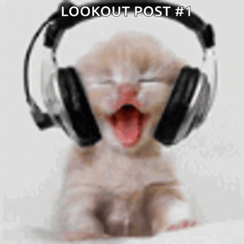 White Cat GIF - White Cat Headphones GIFs