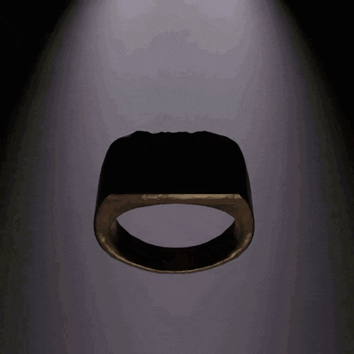 a black and gold ring with a hole in the center