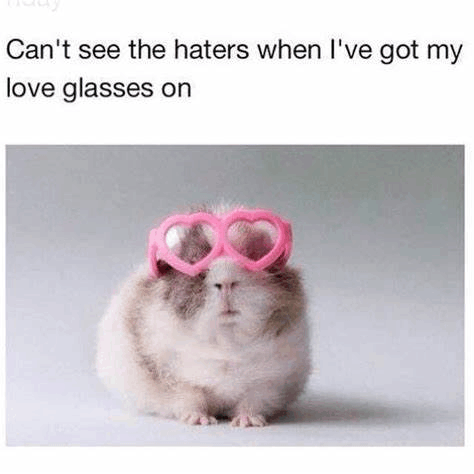 Cantseehaters Love Glasses GIF - Cantseehaters Love Glasses Hamster GIFs