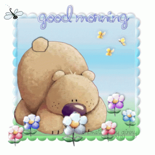 Good Morning Bear GIF - Good Morning Bear GIFs
