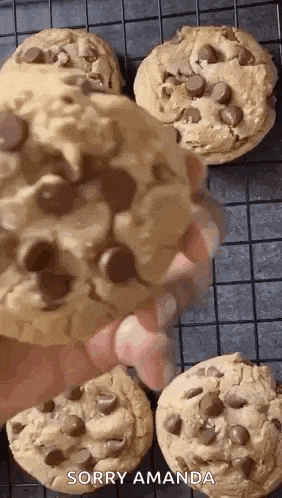 a person is holding a chocolate chip cookie in front of a rack of cookies .