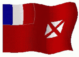 a red white and blue flag with an x in the middle