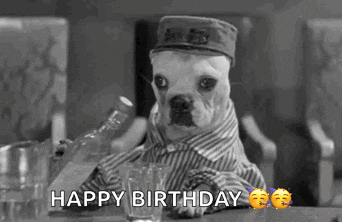 a dog wearing a hat and a striped shirt is sitting at a bar holding a glass of water .