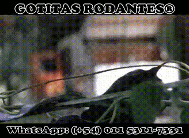 Buenos Dias Gotitas GIF - Buenos Dias Gotitas Teadrop GIFs