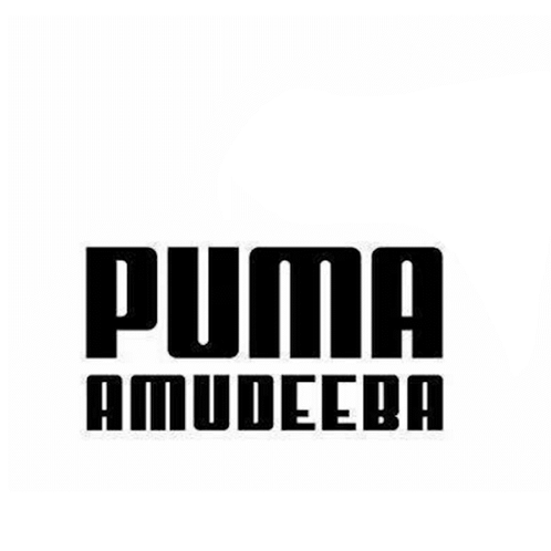 Puma Pumaamudeeba GIF - Puma Pumaamudeeba Maamudeeba GIFs