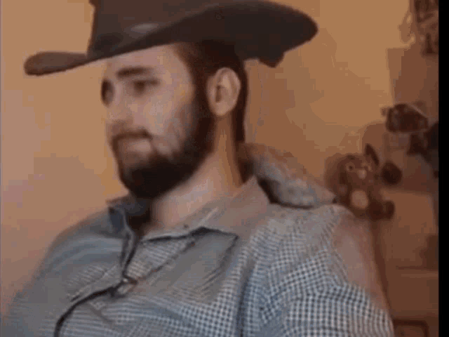 a man with a beard wearing a cowboy hat and plaid shirt