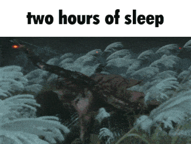 a picture of a man laying in the grass with the words two hours of sleep above him