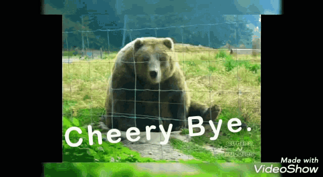 a picture of a bear behind a fence with the words cheery bye below it