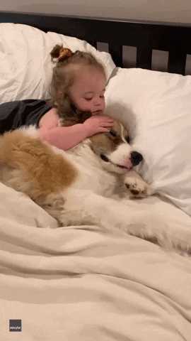 Dog Hug GIF - Dog Hug GIFs