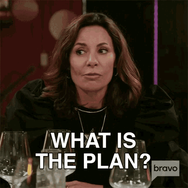 We Need A Plan Real Housewives Of New York GIF