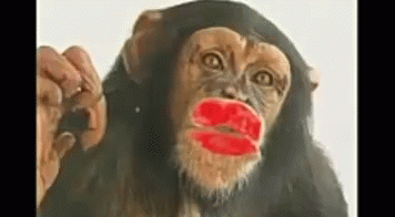 Kiss Monkey GIF - Kiss Monkey GIFs