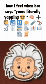a cartoon of albert einstein with the words how i feel when bro says you 're literally yapping