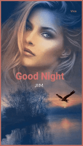 a picture of a woman with the words good night jim written on it
