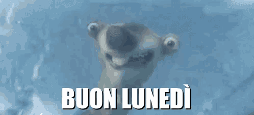 a picture of a polar bear with the words buon lunedi written on it