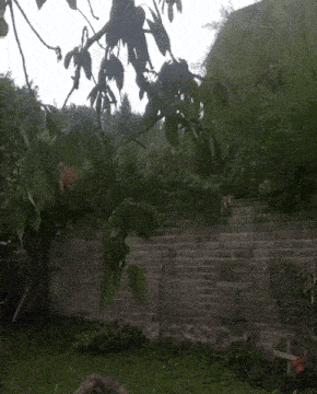a brick wall is surrounded by trees and bushes in a backyard