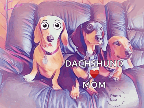 three dachshunds are sitting on a couch with the words dachshund mom written below them