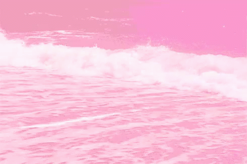 Sea Pink GIF - Sea Pink GIFs