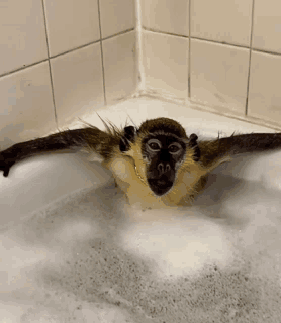 a monkey is taking a bath in a bathtub with foam