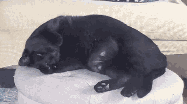 a black dog is sleeping on a pillow on top of an ottoman