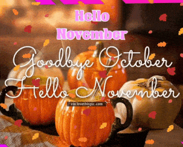 Hello November GIF - Hello November GIFs