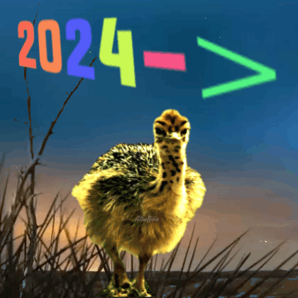 2024 Meme Baby Ostrich Meme GIF - 2024 Meme Baby Ostrich Meme Atrabilis GIFs