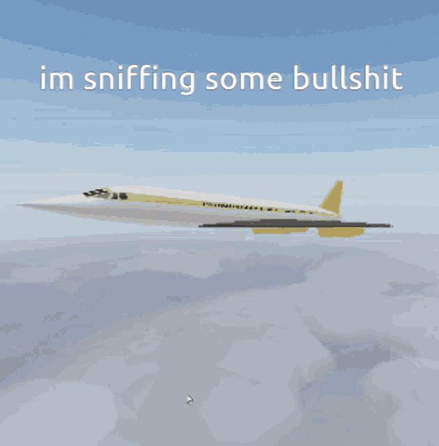a united airlines plane is flying through the air with a caption that says im sniffing some bullshit
