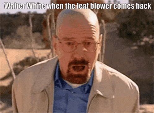 a bald man with glasses and a beard is talking about walter white when the leaf blower comes back .