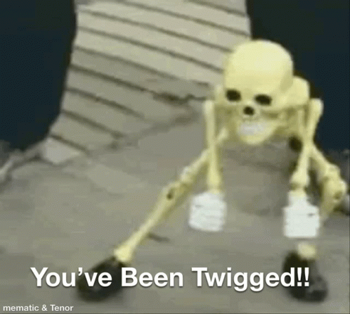 Youve Been GIF - Youve Been Twigged GIFs