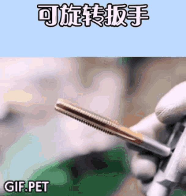 Gif Pet Screw GIF - Gif Pet Screw Repair GIFs