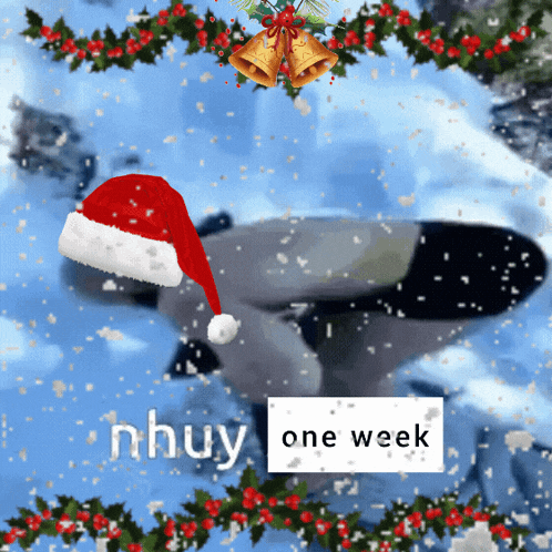 a picture of a santa hat with the words nhuy one week underneath it